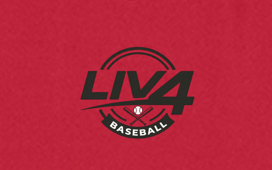 LIV 4 Baseball and Bats Women's V-Neck Tank | Moisture Wicking